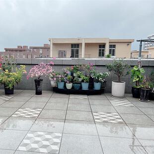 花架置物架阳落台铁津秋坊88艺肉阶地式多层户外庭院窗台梯多花盆