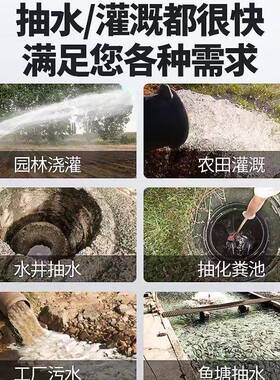 排潜水泵家用高扬FVI程农用大溉抽水机割泵污水泵化粪池灌污切泵