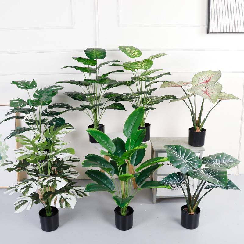 仿真绿植万年青绿萝盆栽 桌面摆件小植物客厅落地 装饰仿真龟背叶