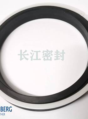 CFW NA300油封23.5-15-8 25-15-8-9 250-220-1819N9118 NA250密封