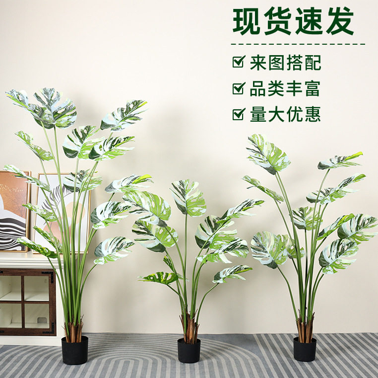仿真白边龟背叶拟真手感仿真绿植仿真植物盆栽室内外落地景观摆件