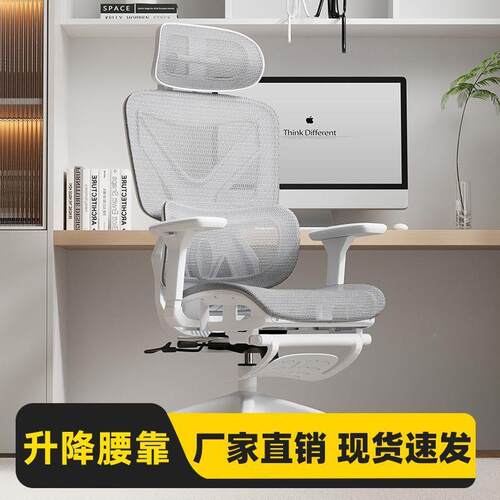 电背脑见详情家用人体工学学椅习办公椅办公护子腰靠久坐竞椅座椅