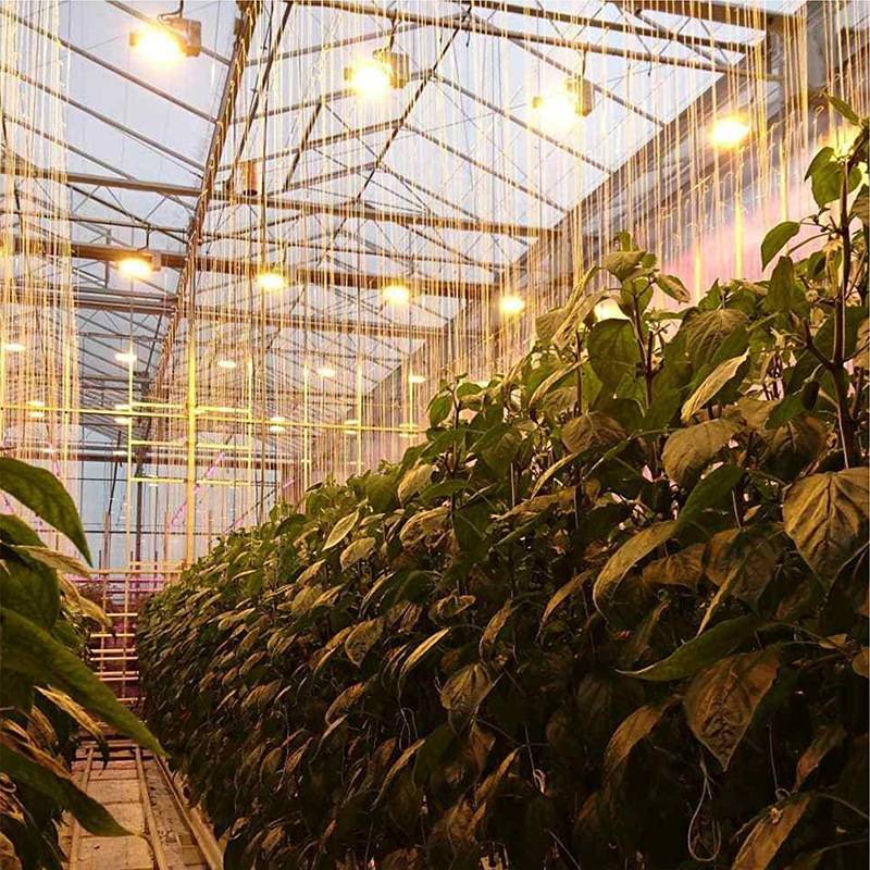 全光谱大功率蔬菜大棚种植led补光 方形面板量子板调光植物生长灯