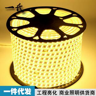 led灯带0550变片光防排水5730LED贴柔性220V灯灯带条2835双三排灯