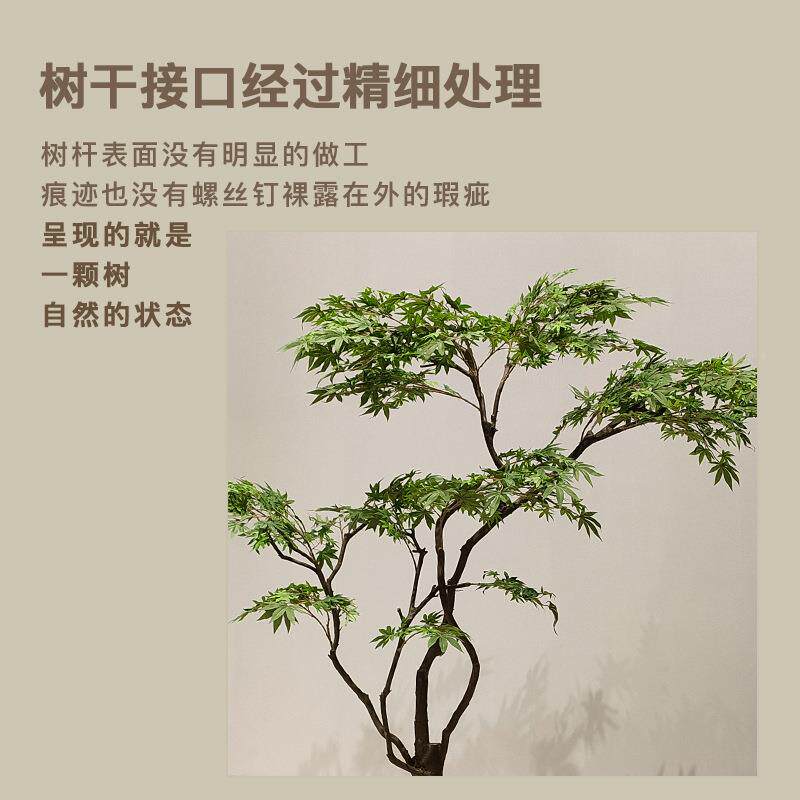 真植鸡场爪槭假枫树仿假树景观造128景橱窗商茶室橱窗绿植物装饰