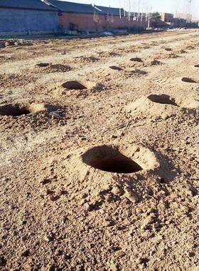 置四轮车后园YGZ挖坑机果植树绿化用钻树眼机木移栽用挖坑机