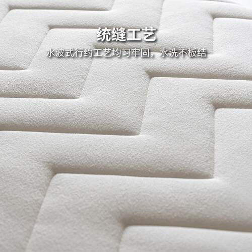 新款租房软820垫家用双人垫生加厚榻榻米睡A垫床褥子学人宿舍单垫