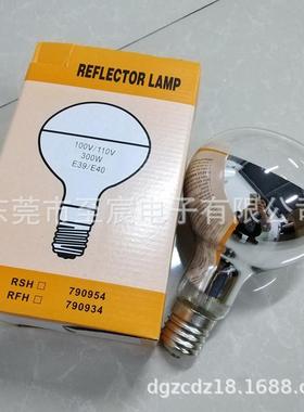 国产RPHQF110V30W500EW100000W4屋外用散光形灯大功率型照明灯泡