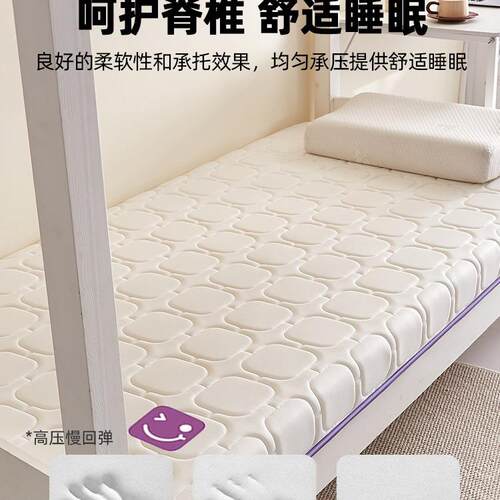 2025新款F9969HS5乳胶垫宿舍单单件学生软垫家用单人记忆棉床被床