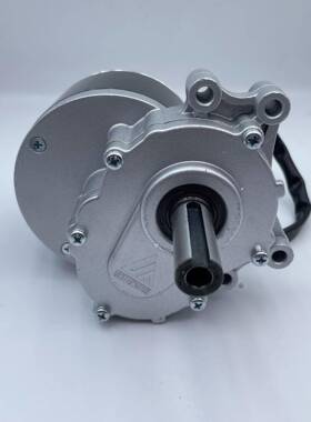 跨境轮Z椅电机24V250马达电动机ZD101AW25配1电动改装件