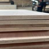 厂家直售阻燃防水海洋时防虫熏蒸海洋板耐水煮79122板小E1级环保