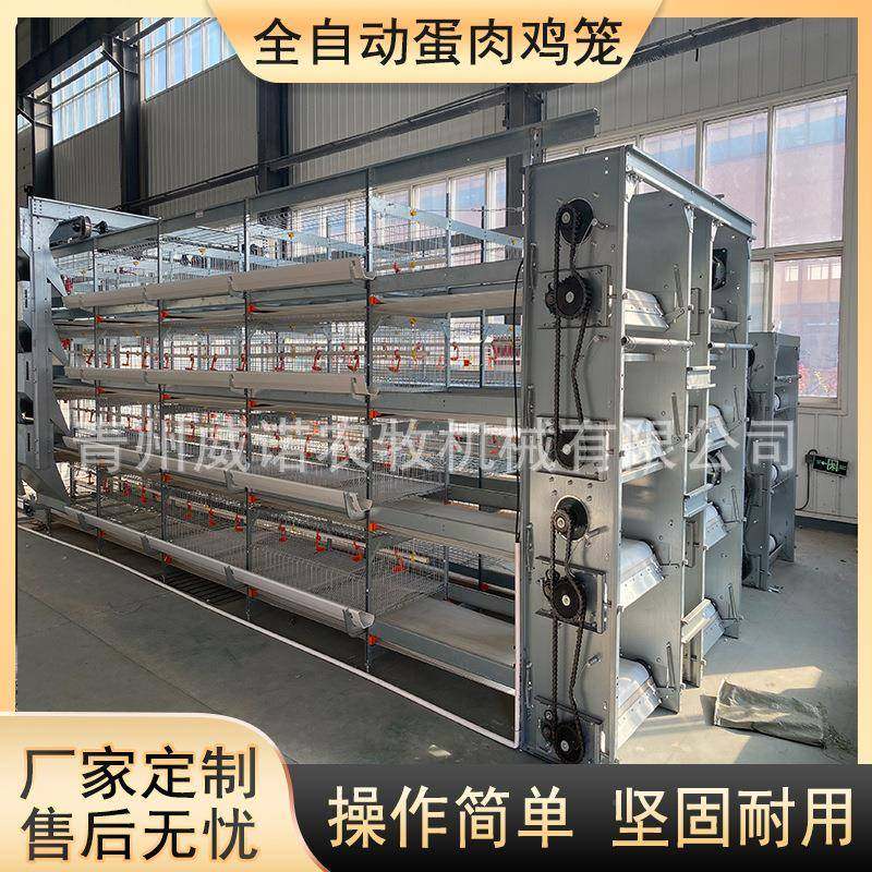 自动肉鸡笼框架式养化鸡设备蛋鸡笼整套PNJ鸡笼养殖设肉备,农机/农具/农膜,农用防护器具,淘宝优惠券,粉丝福利购,淘宝优惠卷