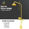 睿英04SZA不厂锈钢复合眼式淋紧急喷洗眼器验洗器