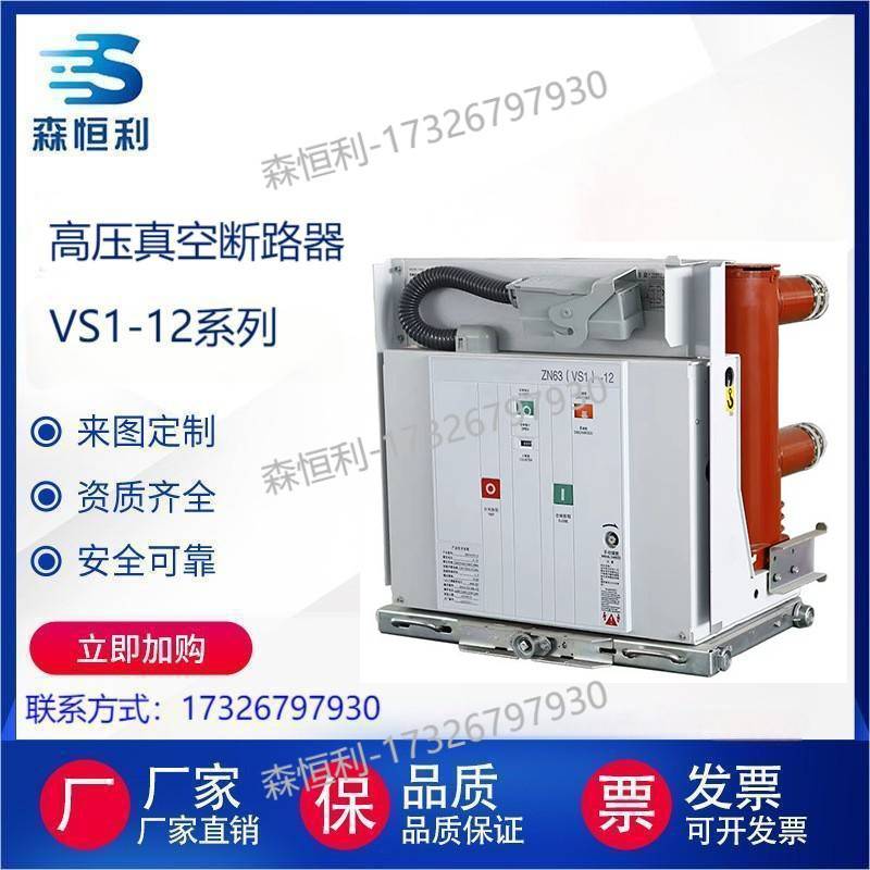 10KV真空断路器（ZN63A)VS1-12户内固定式固封式真空断路器