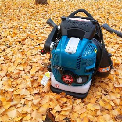 源工头油厂背负式吹风机吹汽四冲程雪机铁路碎IHM石积雪风量清理