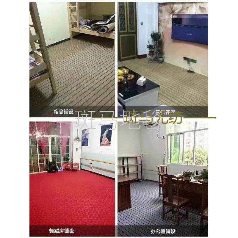 地毯大面全铺卧室房间一整张加可剪出裁租厚屋毛坯房积水泥地bmpd