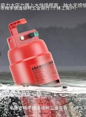 遥控潜水泵农充电式无线抽机用PDI抽水水家用新款灌溉泵12v直流泵