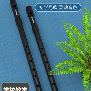 爱尔兰哨笛C调D大调树脂哨笛六孔直笛初学者入门学生课堂教学笛子
