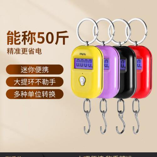 精准迷你手提电子秤高精度便携式小型弹簧秤吊秤家用买菜随身小秤