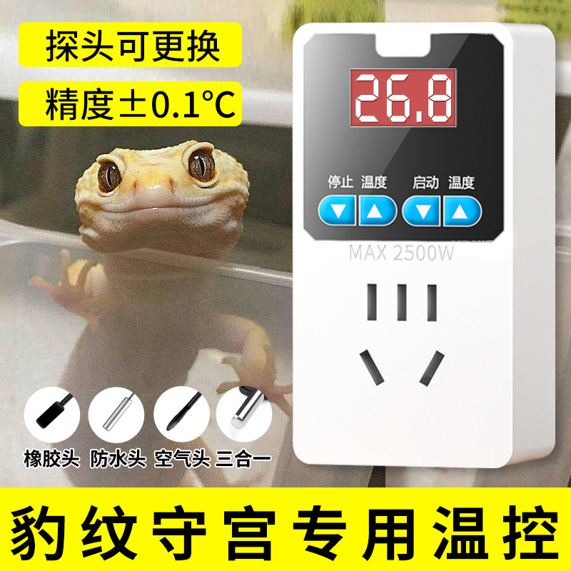 豹纹守宫专c用电子温控器开关温控插座恒温控温器数显智能全自动