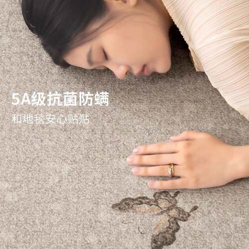 地毯新款卧室新中防水防污式复古免洗可擦沙客qr030101发地垫大面