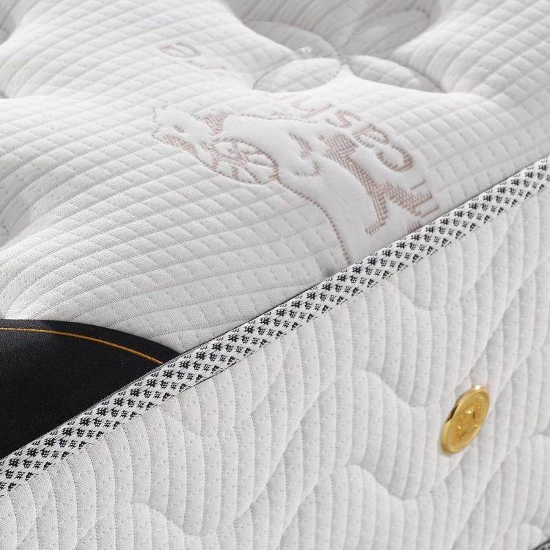 席367思弹簧垫床乳胶椰棕20加厚经济梦型1.8床米双人软2硬两用垫