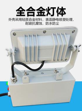 GAD60-J固态应急照明灯GAD605-J配电电房站壁挂式L5ED照明1灯NFE9