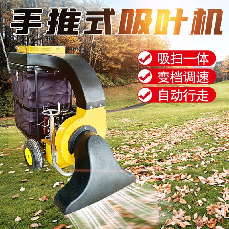 推式园吸叶机吹人行道吸树叶的IQZ机器人公景区树叶手吸机
