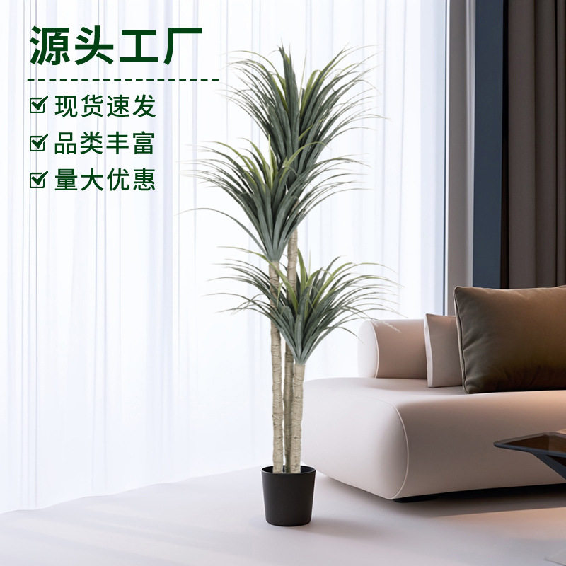 新款仿真龙血树绿植盆景沙生植物盆栽家居花园绿化装饰人造假树