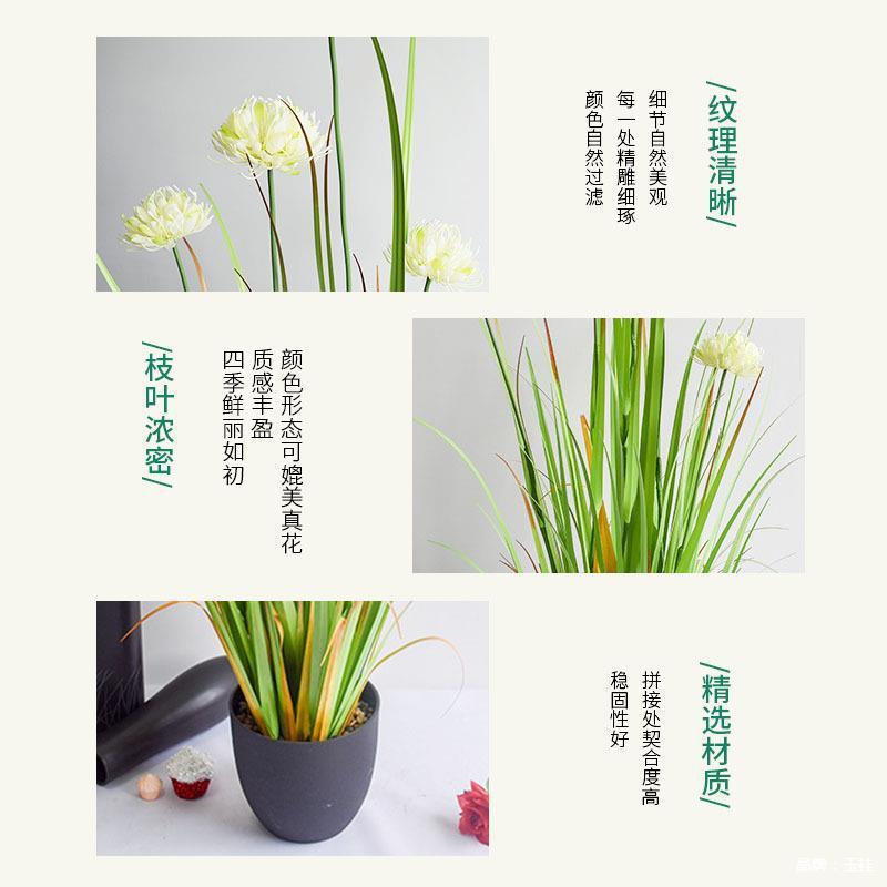 仿真苇草盆栽干花装PGK洋葱居草狗尾巴草假花绿植摆件家芦饰绿植