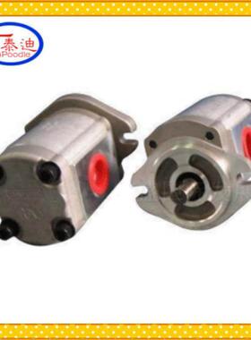 CBBGAK1004B1F泵R齿-轮齿微型轮泵小排量齿轮泵