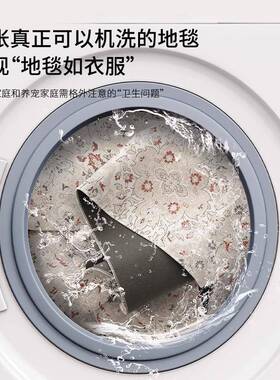 可拆洗水地毯双客厅225新款层可机洗地垫法0式复古风kxc20250家用