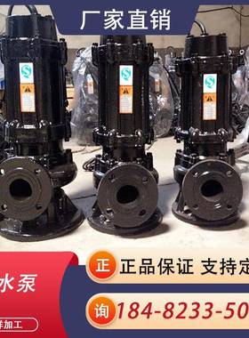 WQ污水排污380泵V280塞V提升泵无堵集井潜WGI污泵高扬水程不锈钢