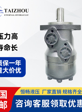 承受力强伊顿OMR160/200/250高压力铣刨机减速机液压摆线油马达