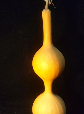 丰一阁精品47厘米本长大摆件三庭三亭三停迎福财葫芦收藏品