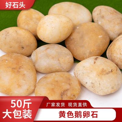 黄抛光鹅卵石庭院铺439面小石园林造南京雨子花石景天然色石