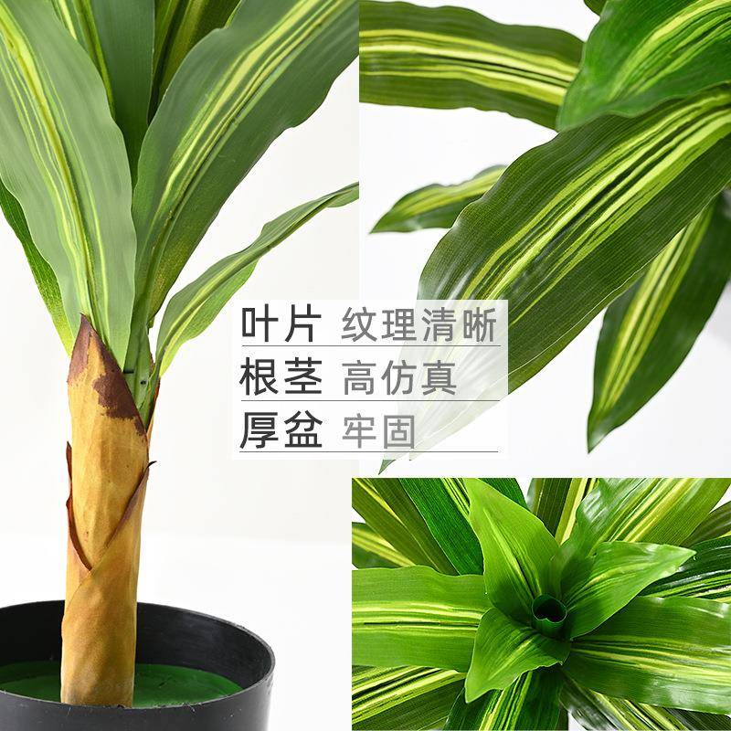 高端植轻奢摆仿生巴西树绿客厅酒店巴西叶仿地大型装饰落件仿真巴