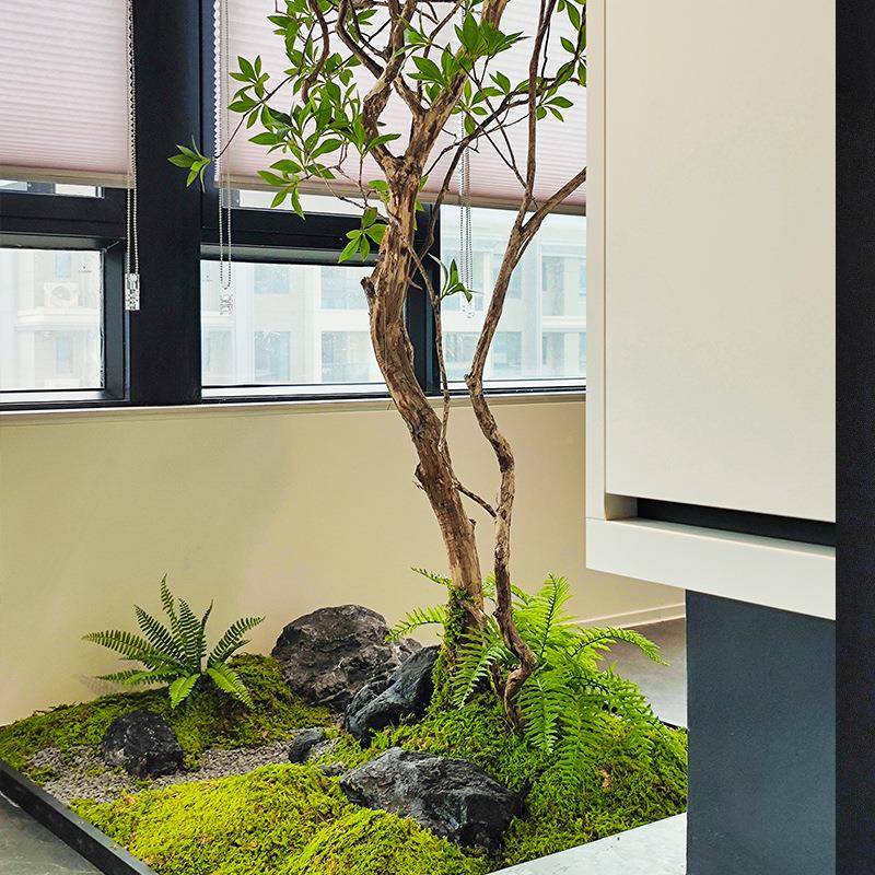 绿景高端马醉木仿真仿008植物橱窗造室内装饰树生植大型假树简约