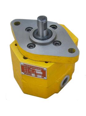 BB泵-朵B4Nbb-BB-B10-Db6Nbb-b10-D(A)带耳摆线齿轮油内轴式电机