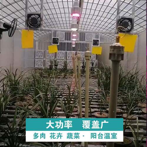 大棚蔬多肉补光灯菜兰KPX草花谱卉家用物上色全光仿太阳植生长灯