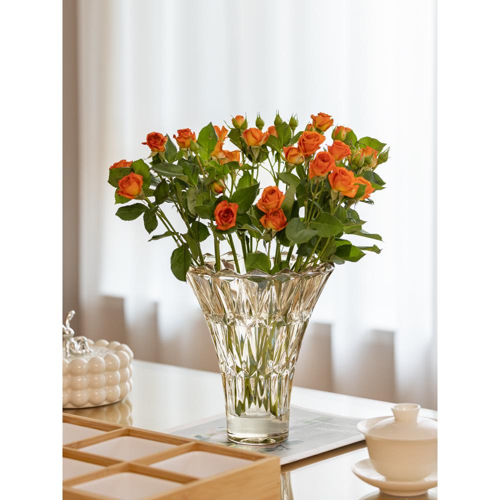花瓶摆件客厅插花鲜花玫瑰郁金香轻奢高级感玻璃透明水培水晶花器