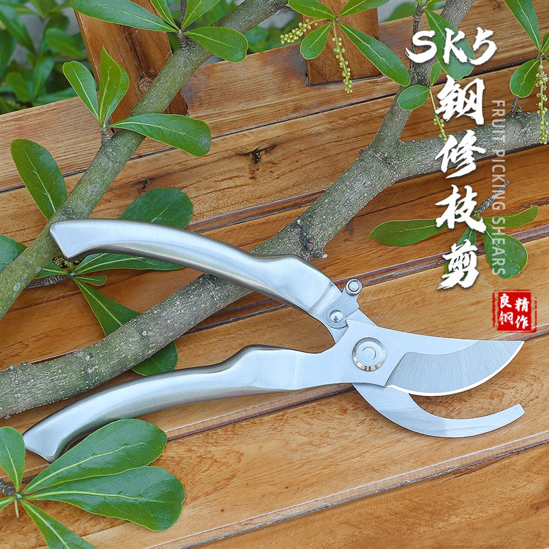 sk5全钢修枝剪不锈钢剪枝修剪树枝果树盆景花卉园艺摘果专用剪刀图片