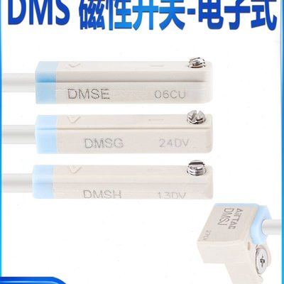 亚德客DMSG-020 DMSE-020 DMSH DMSJ -020-030-050磁性开关感应线
