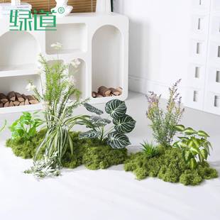 仿景真花绿植花造HY 饰物布置商场门店橱窗美陈 AY8花艺假植装