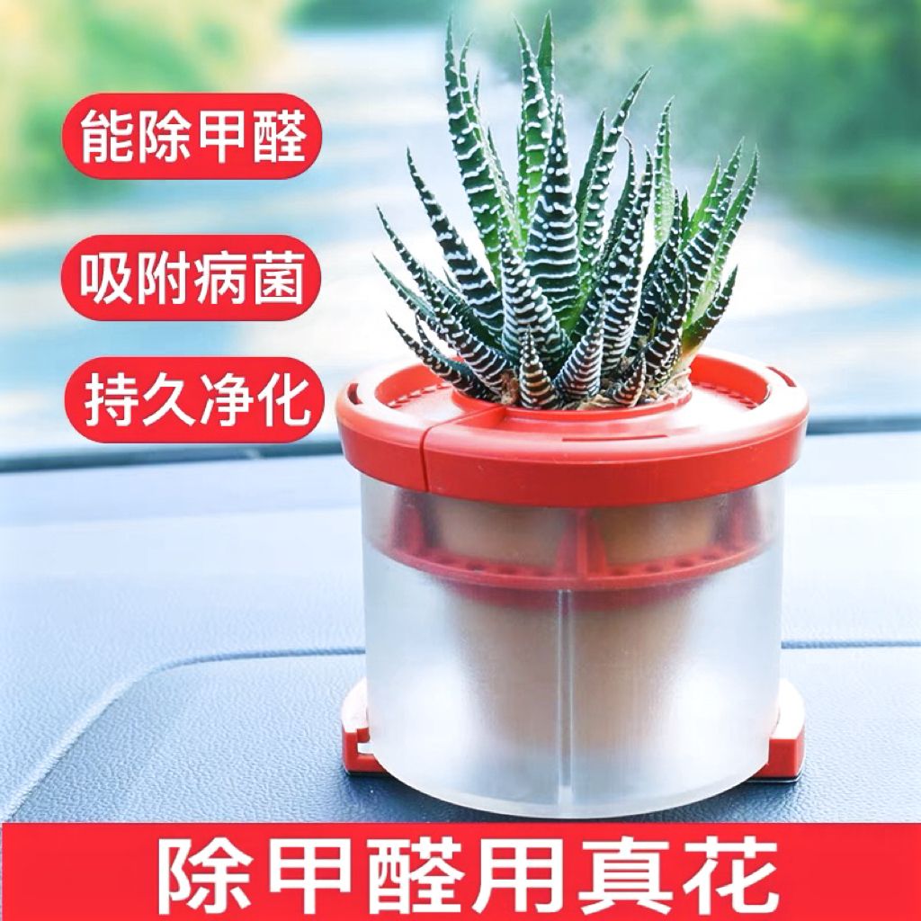 汽车摆件车载植物氧吧车栽真花绿植养花器车内空气净化器吸甲醛