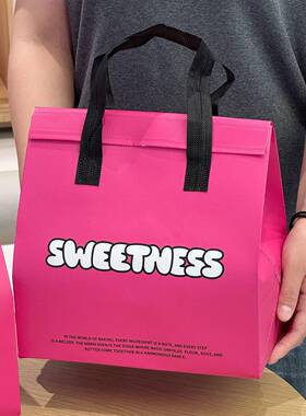 一刷次性铝保温袋甜品奶茶烘焙卖专用无纺布外打包袋商箔用印lTCS