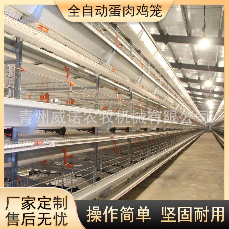 动化肉鸡笼自框架养鸡式设SYO备蛋笼整套肉鸡笼养殖设鸡备