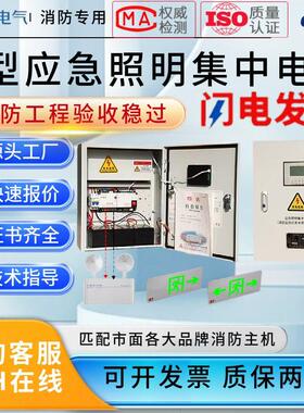 A型应急照明集中电源DC36V控制器24V灯具装置EPS主机消防分配电箱
