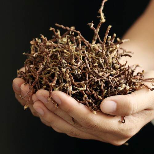 商用新茶梗散装铁观音除