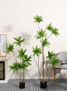 仿真绿植植百合真竹仿真绿植高级感仿物大型端落高地盆景假树摆件